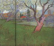 Vincent Van Gogh View of Arles with Trees in Blossom (nn04) oil painting picture wholesale